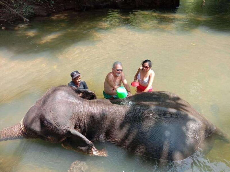 krabi-elephant-bathing-and-atv-adventure-30min-30min