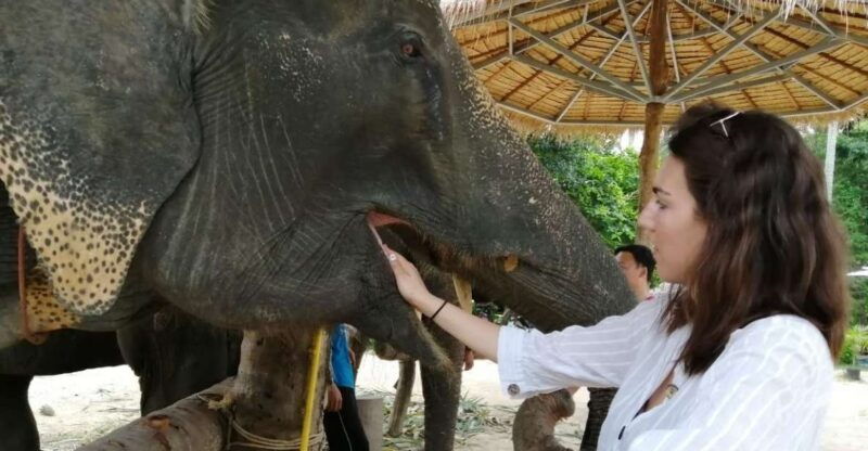 krabi-elephant-bathing-and-huay-tho-waterfall-day-trip