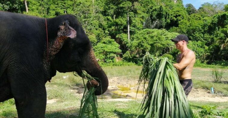 krabi-elephant-bathing-atv-adventure-combo
