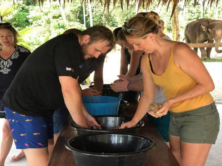 krabi-elephant-bathing-atv-adventure-combo