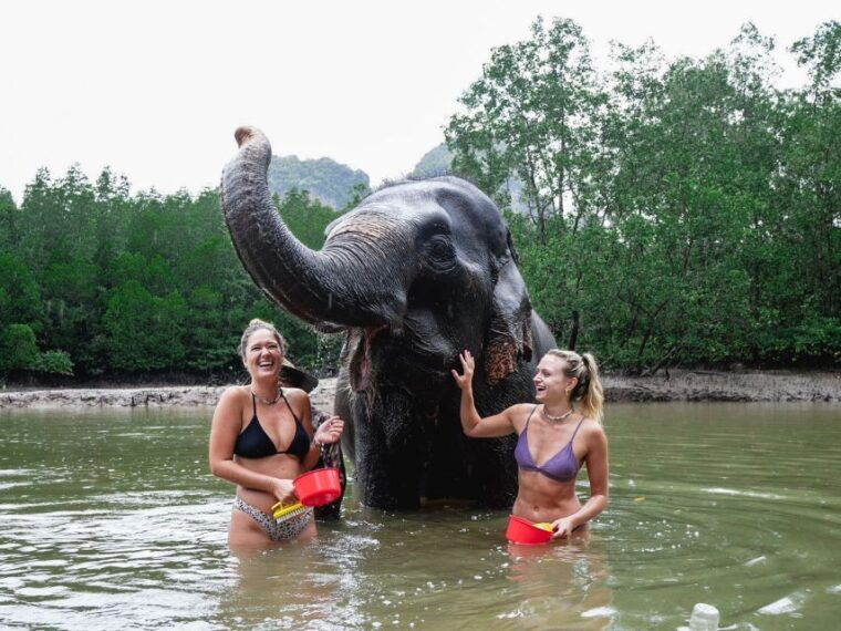 krabi-elephant-bathing-session-at-krabi-elephant-shelter