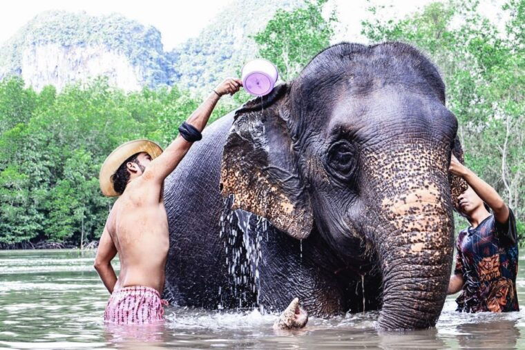 krabi-elephant-bathing-session-at-krabi-elephant-shelter