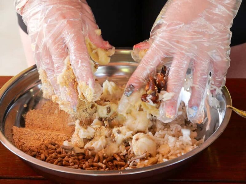 Krabi: Elephant Cook & Feeding Visit with Workshop - Introduction