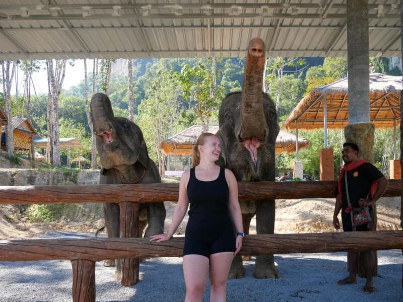 Krabi: Elephant Cook & Feeding Visit with Workshop - Who Is This Tour Best For?