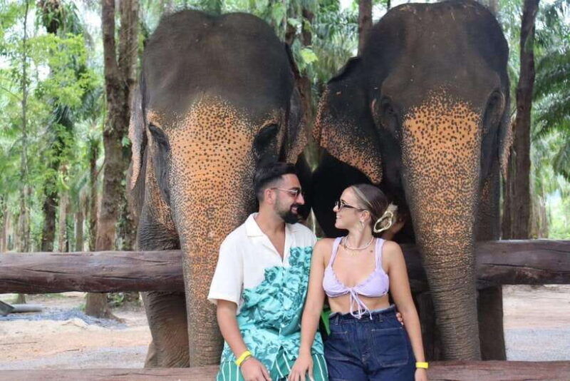 krabi-elephant-feeding-program