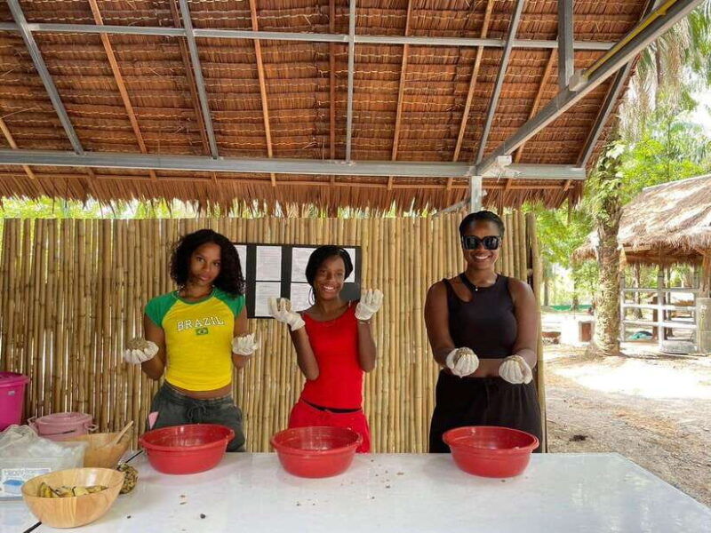 krabi-elephant-feeding-program