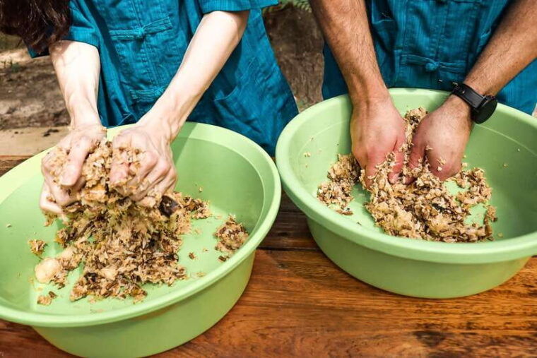 krabi-elephant-feeding-program