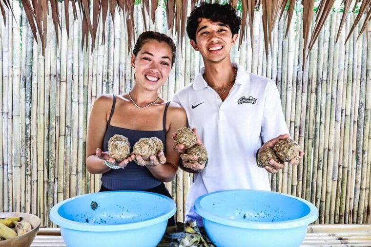 krabi-elephant-feeding-program