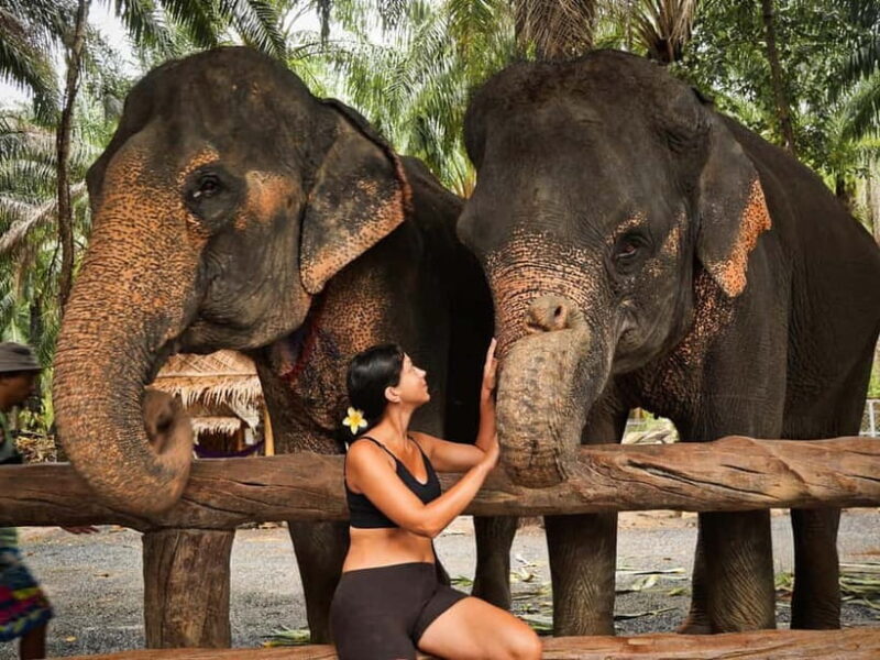 Krabi: Elephant Feeding Program with Food Preparation - FAQs