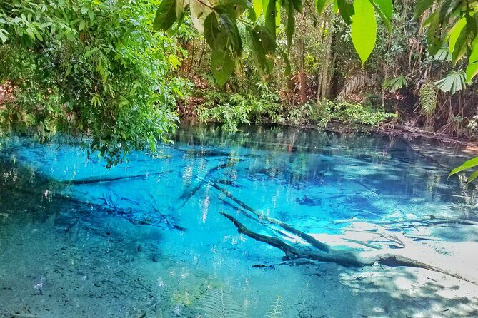 Krabi Elephant Sanctuary and Emerald Pool Adventure - Final Thoughts