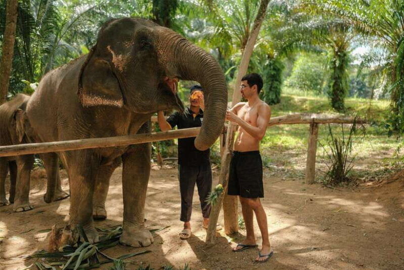 krabi-elephant-sanctuary-near-ao-nang-visit