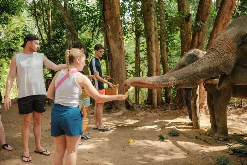 krabi-elephant-sanctuary-near-ao-nang-visit