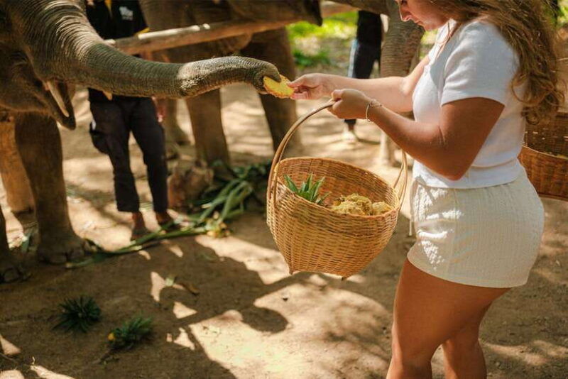 krabi-elephant-sanctuary-near-ao-nang-visit