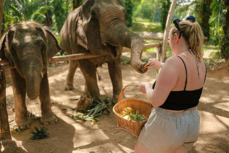 krabi-elephant-sanctuary-near-ao-nang-visit