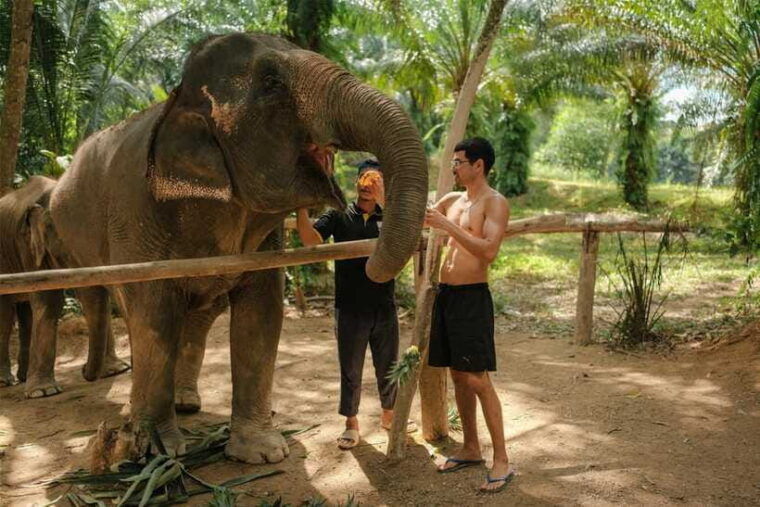 krabi-elephant-sanctuary-near-ao-nang-visit