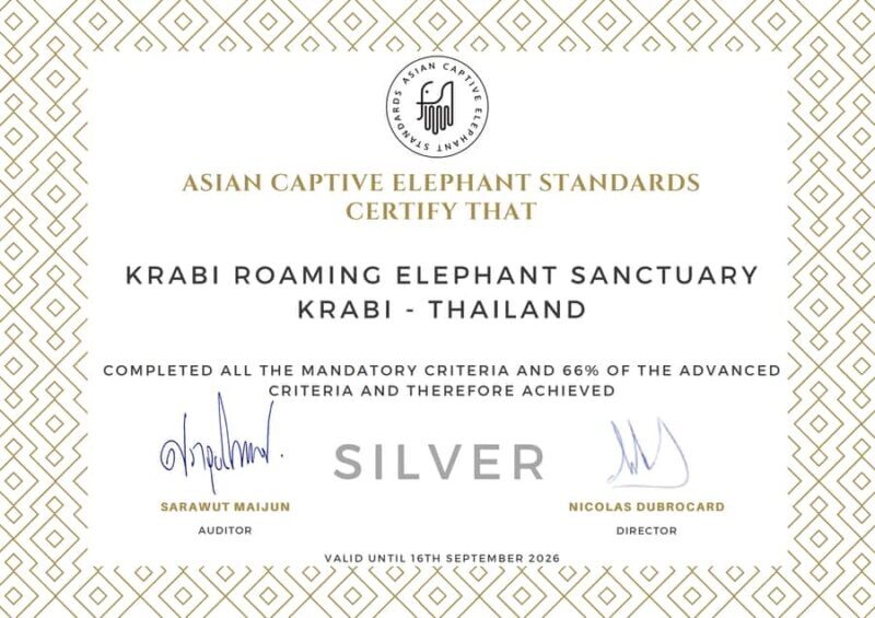 Krabi: Elephant Sanctuary Tour - Feeding & Painting Activity - Practical Tips for Your Visit