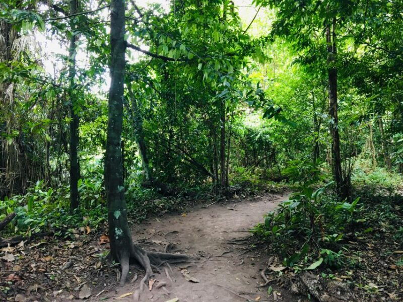 krabi-emerald-pool-and-hot-springs-waterfall-half-day-trip