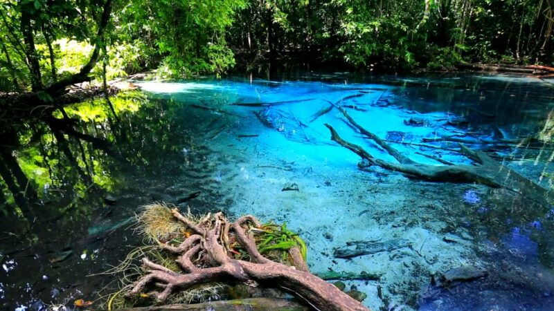 krabi-emerald-pool-and-hot-springs-waterfall-half-day-trip