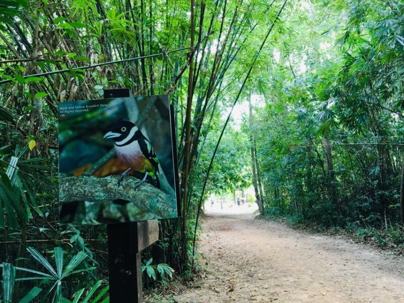 krabi-emerald-pool-and-hot-springs-waterfall-half-day-trip