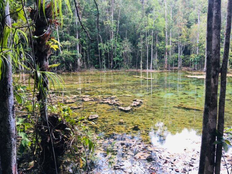 krabi-emerald-pool-and-hot-springs-waterfall-half-day-trip