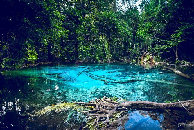 Krabi Emerald Pool, Hot Spring and Tiger Temple - Key Points