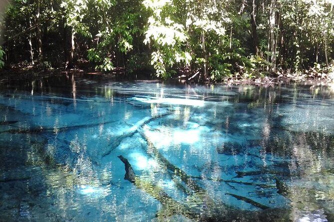 Krabi Emerald Pool, Hot Spring and Tiger Temple - The Realities of the Experience