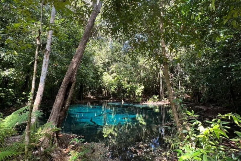 Krabi: Emerald Pool, Hot Springs, and Kayaking Tour - Final Thoughts