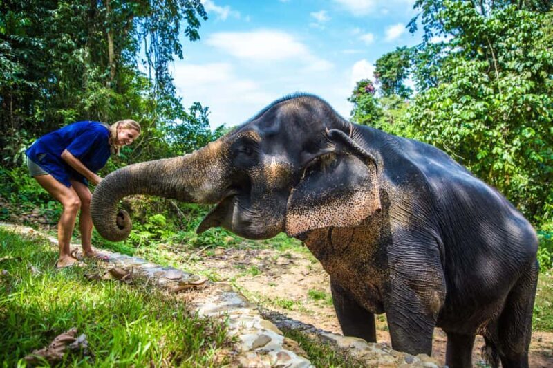 Krabi: Ethical Elephant Sanctuary Experience - The Itinerary in Detail
