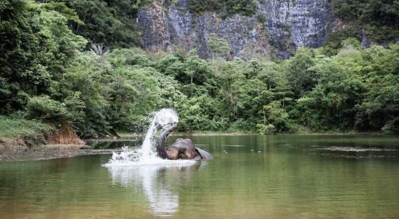 Krabi: Ethical Elephant Sanctuary & Tiger Cave Temple Tour - Who Should Consider This Tour?