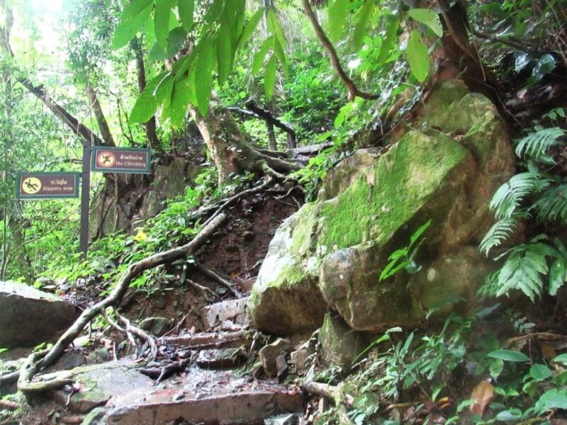 krabi-exploring-krabis-hidden-gems-adventure-day-tour