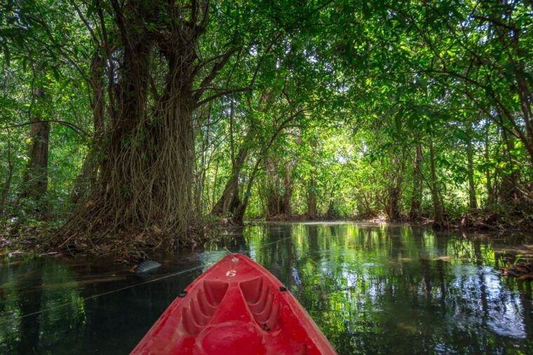 krabi-half-day-blue-lagoon-kayaking-at-klong-srakaew-atv