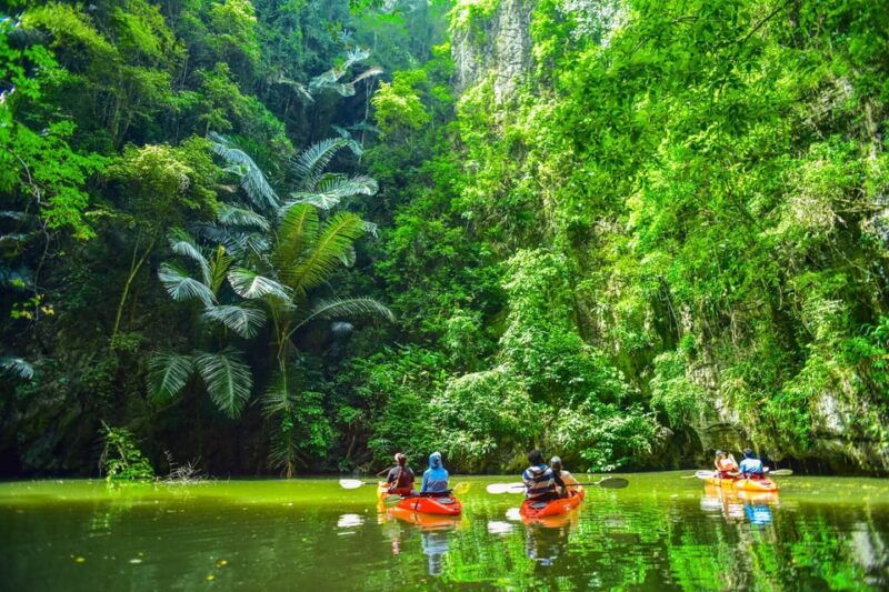 krabi-half-day-bor-thor-mangrove-kayaking-tour