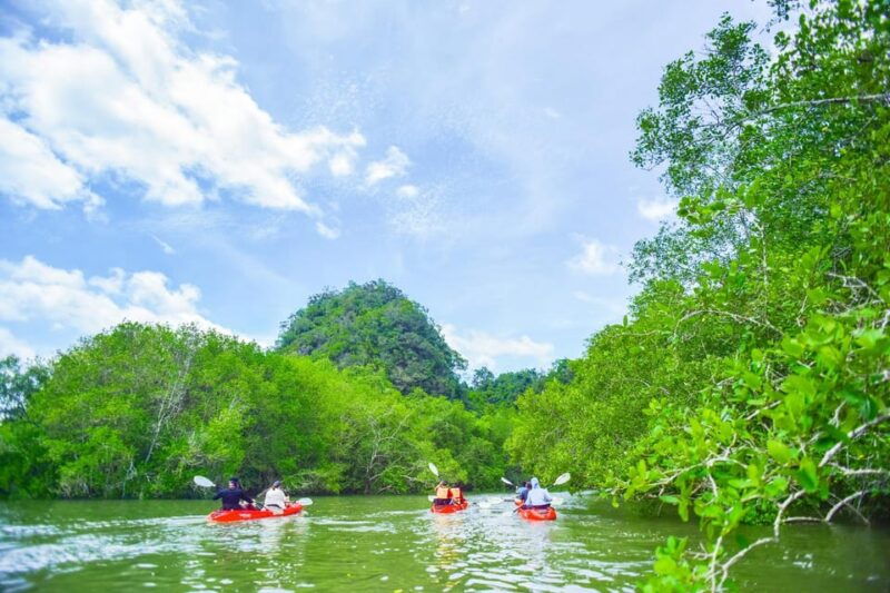 krabi-half-day-bor-thor-mangrove-kayaking-tour