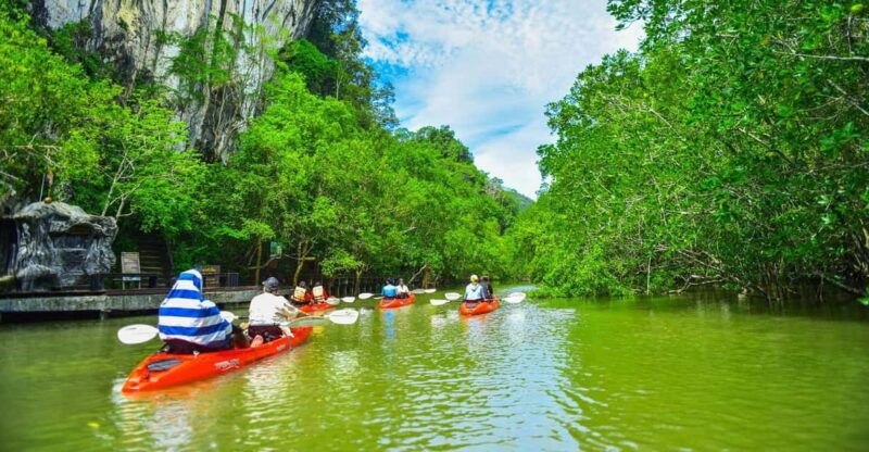 krabi-half-day-bor-thor-mangrove-kayaking-tour