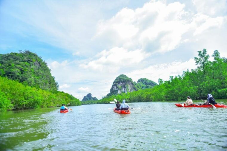krabi-half-day-bor-thor-mangrove-kayaking-tour