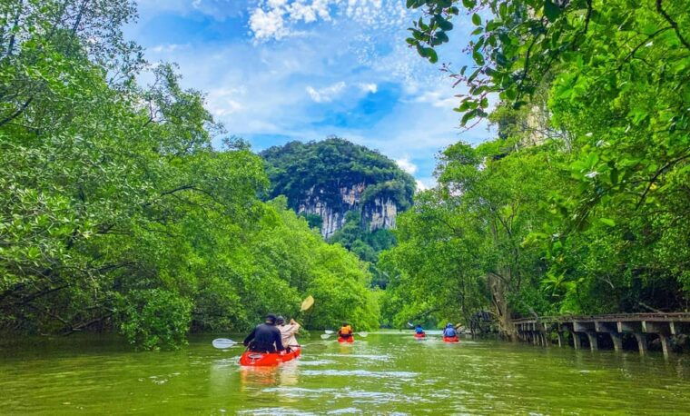 krabi-half-day-bor-thor-mangrove-kayaking-tour