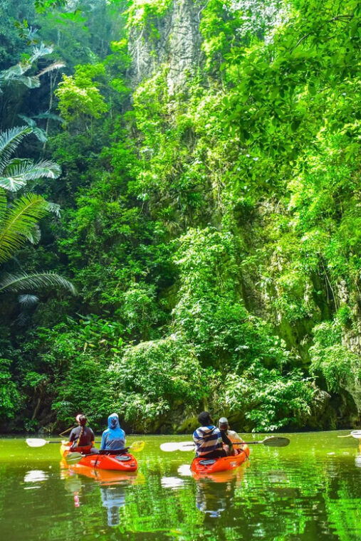 krabi-half-day-bor-thor-mangrove-kayaking-tour