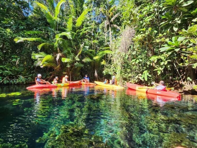 Krabi: Half Day Kayaking Adventure at Khlong Rood - Key Points