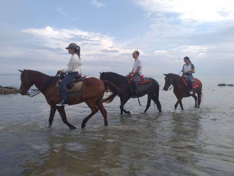 krabi-half-day-kayaking-and-horseback-riding-excursion