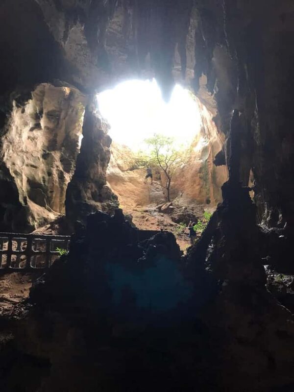 Krabi: Half-Day Mangrove Boat Trip And Khao Khanap Nam Cave - Key Points