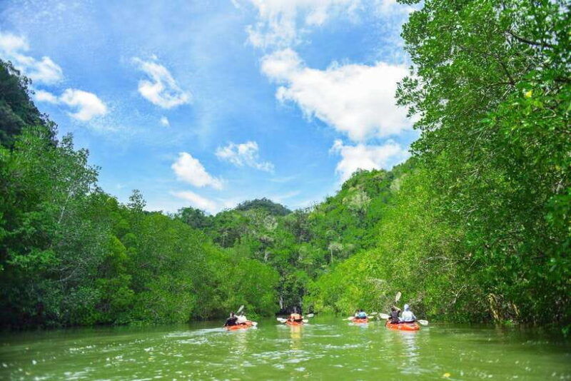 krabi-hidden-mangrove-kayaking-tour-with-optional-extras