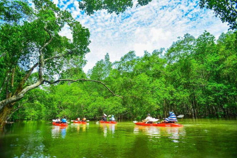 krabi-hidden-mangrove-kayaking-tour-with-optional-extras