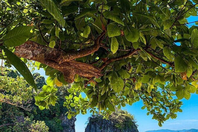 Krabi Hong Island Tour by Speedboat: Lagoon & Viewpoint - Cost & Value