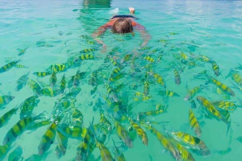 Krabi: Hong Islands by Longtail Boat with Lunch & Snorkeling - Practical Details and What to Expect