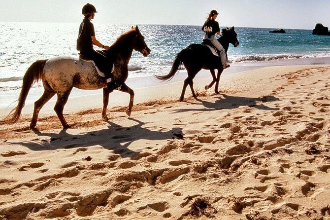 Krabi Horse Riding at Ao Nam Mao Beach - An Authentic Horseback Ride Along Krabi’s Ao Nam Mao Beach