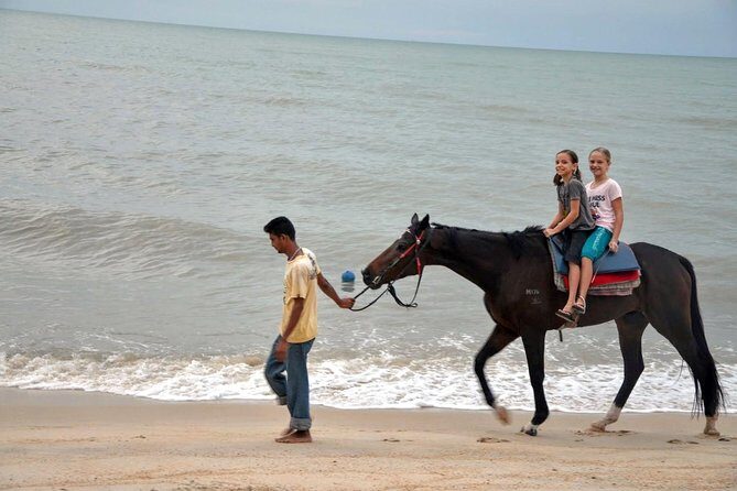 Krabi Horse Riding at Ao Nam Mao Beach - Practical Details