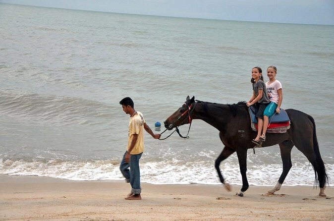 Krabi Horse Riding at Ao Nam Mao Beach - FAQs