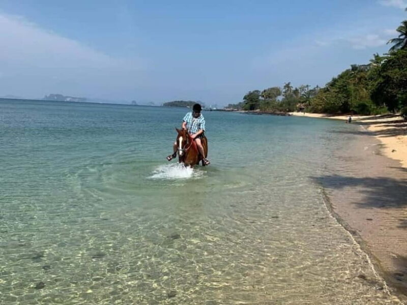 Krabi: Horse Riding On Klong Muang Beach - Why You’ll Love the Horse Riding Experience at Klong Muang Beach