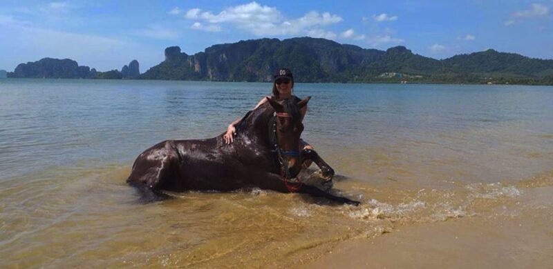 Krabi: Horseback Riding on the Beach - Key Points