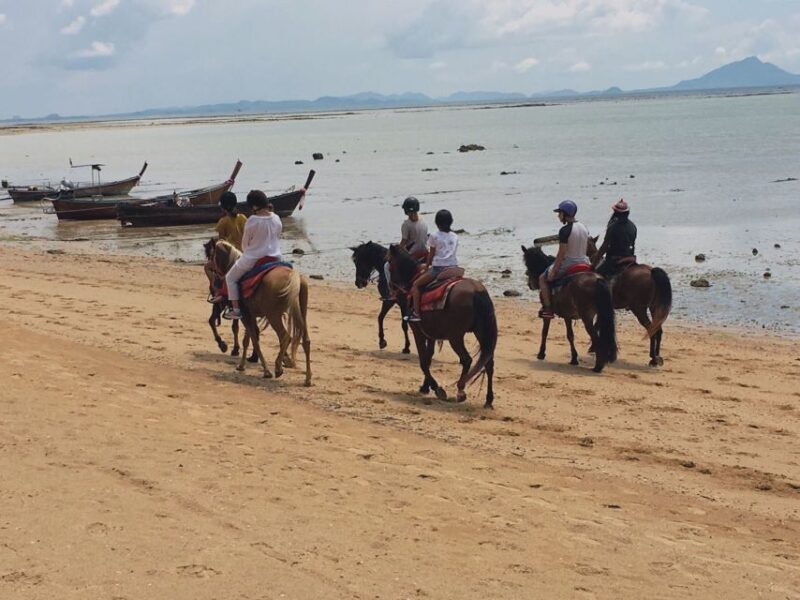 Krabi: Horseback Riding on the Beach - The Experience in Detail